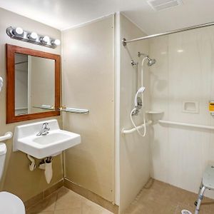 King Room Roll Shower Pet Friendly or Disability Access